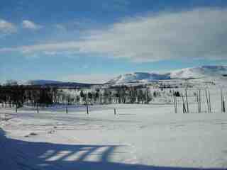 Snøscooterkjøring og annen motorferdsel i utmarka